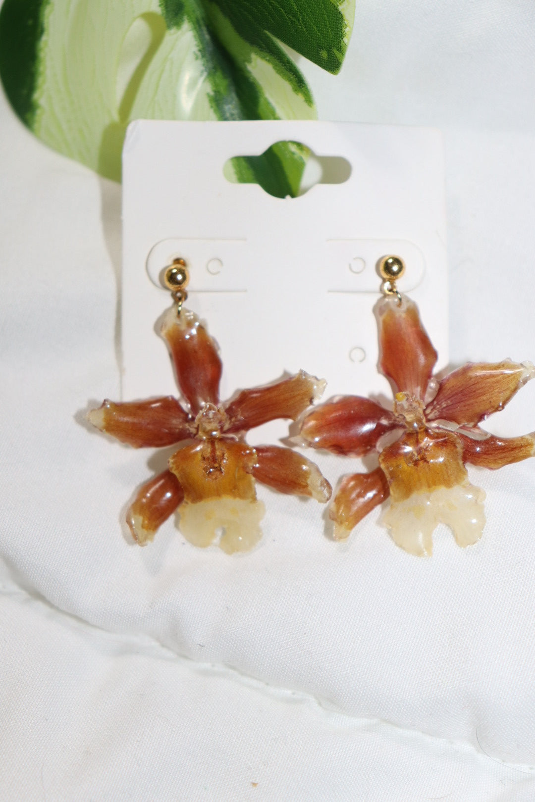 ℰ𝒶𝓇𝓇𝒾𝓃ℊ 𝒹ℴ𝓉