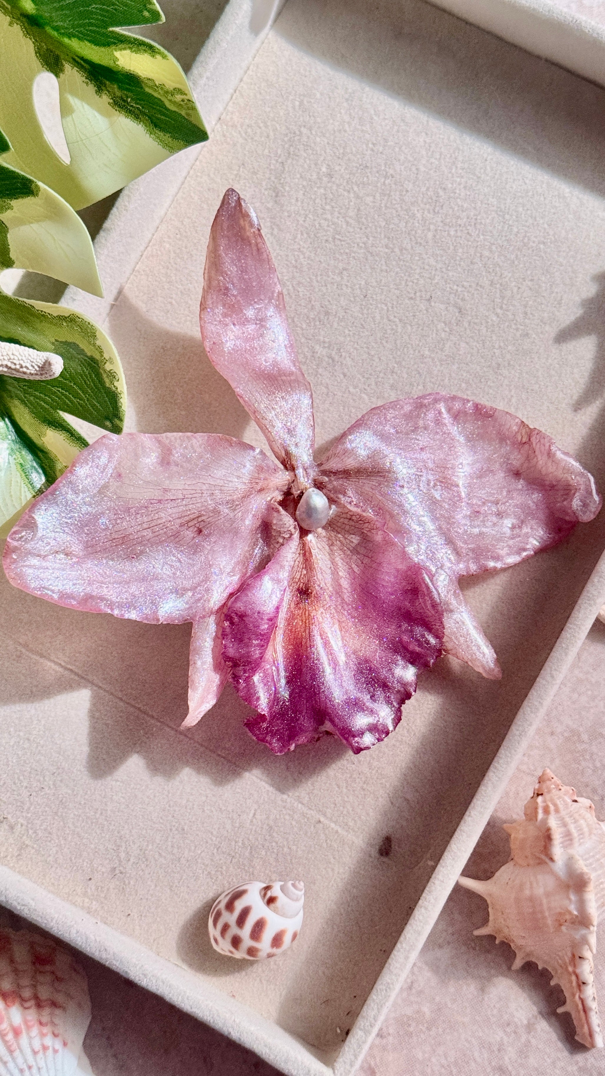 ℋ𝓌𝒶𝓈𝓈𝒶 ☽