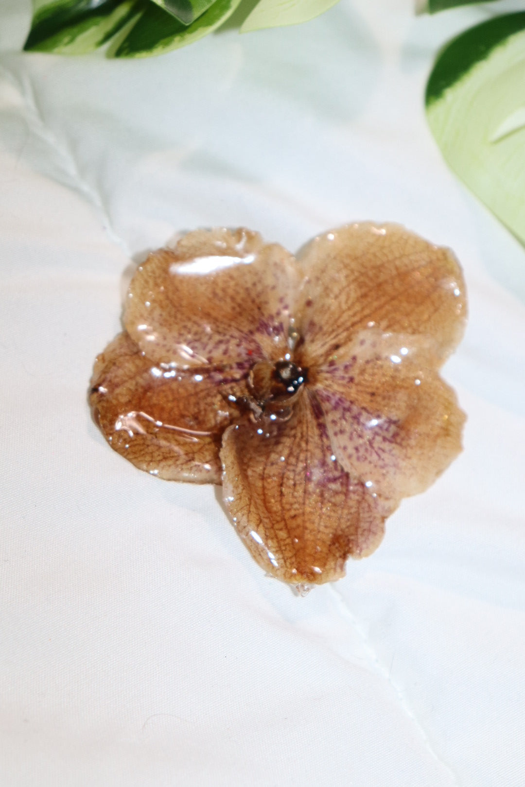 ℋ𝒶𝒾𝓇𝒸𝓁𝒾𝓅