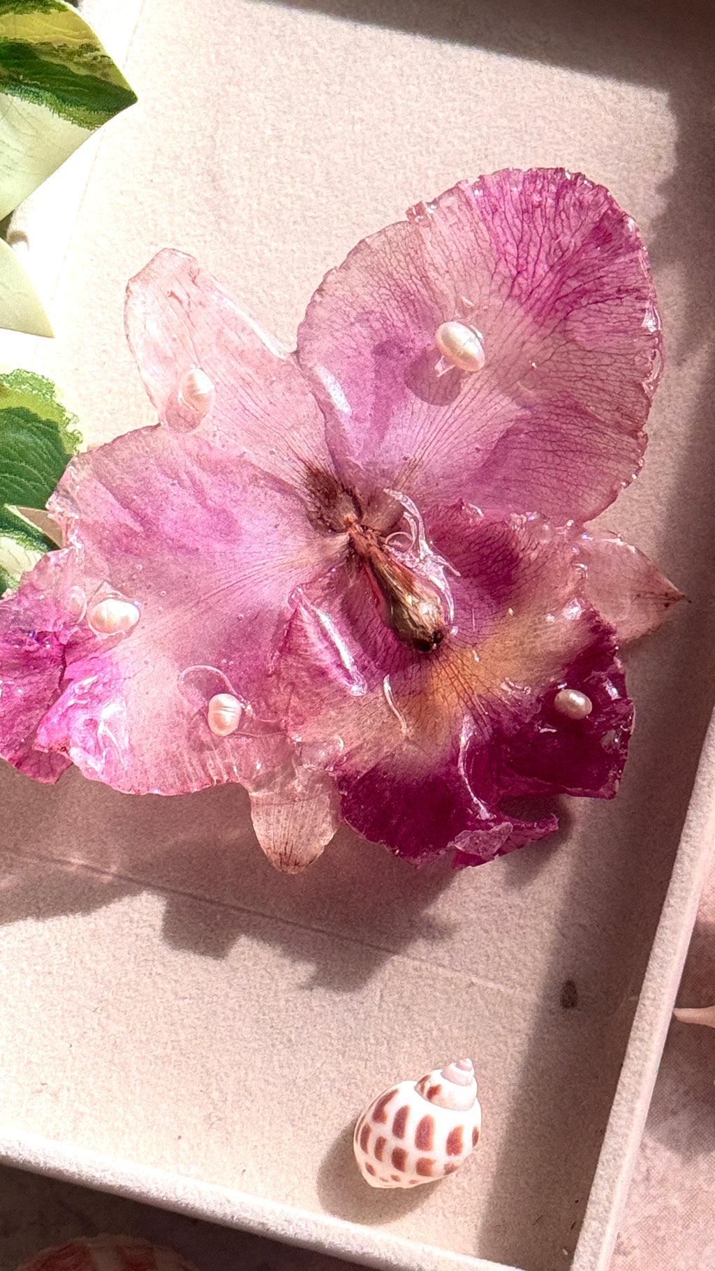 𝒮𝓅𝓇𝒾𝓃ℊ 𝒹𝒶𝓎 ☽