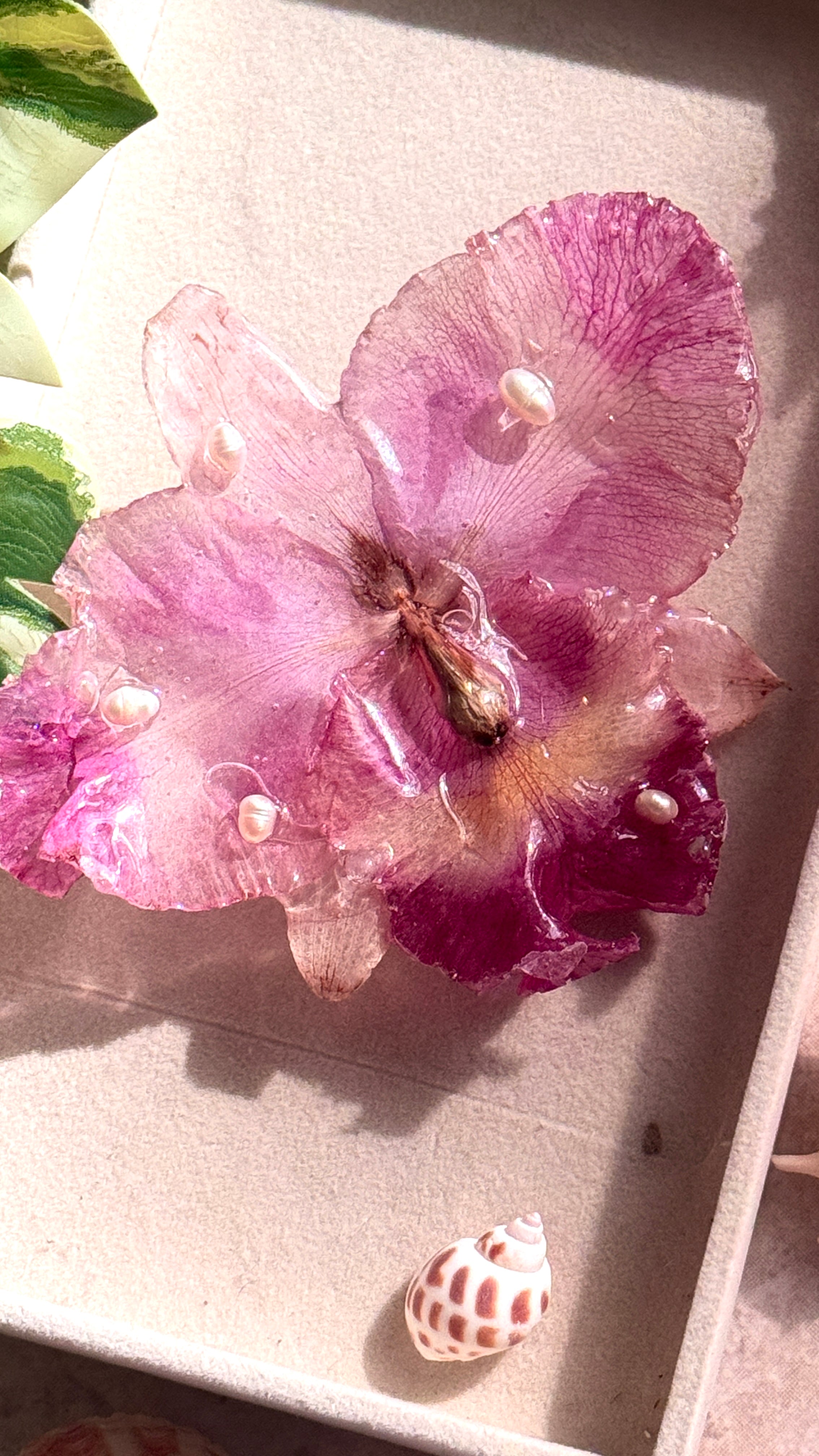 𝒮𝓅𝓇𝒾𝓃ℊ 𝒹𝒶𝓎 ☽