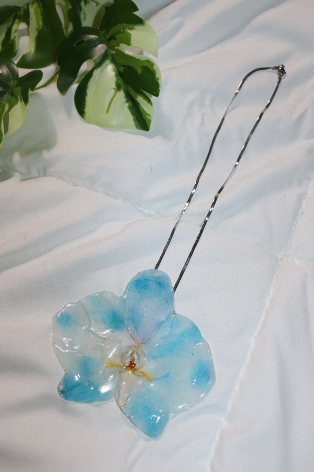 𝒫ℯ𝓃𝒹𝒶𝓃𝓉𝓈 𝓃ℯ𝒸𝓀𝓁𝒶𝒸ℯ