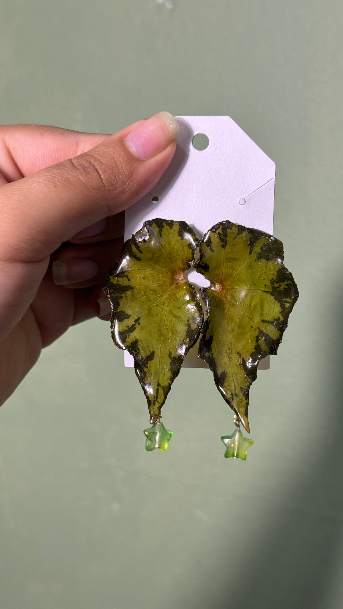 Earrings begonia