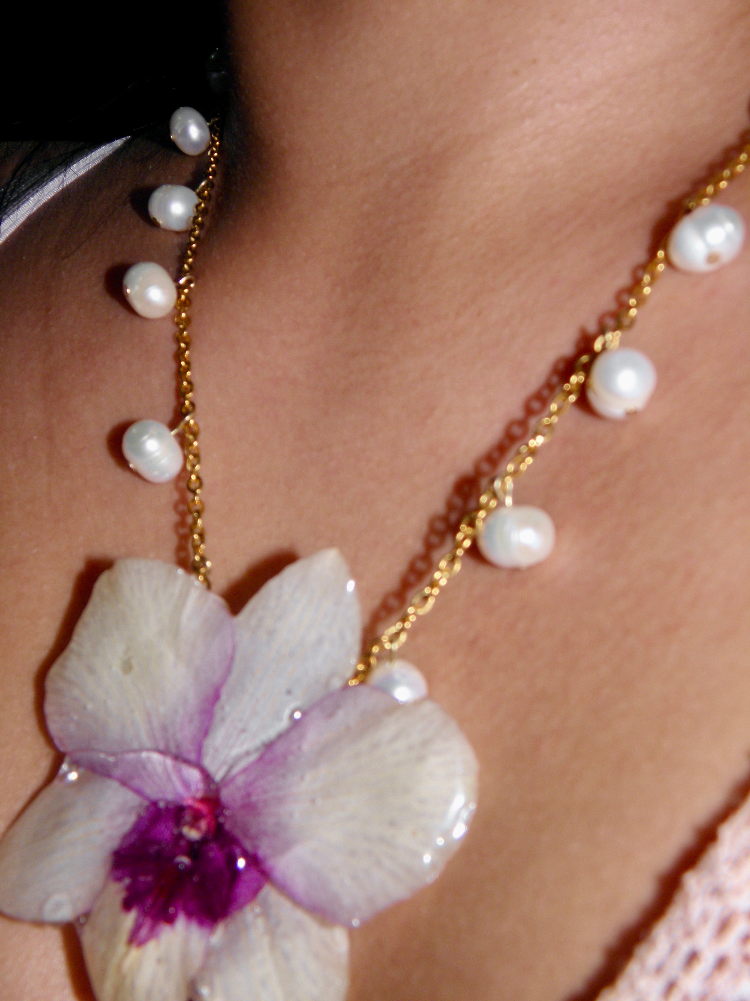 𝒟𝒾𝓋𝒾𝓃ℯ ❀