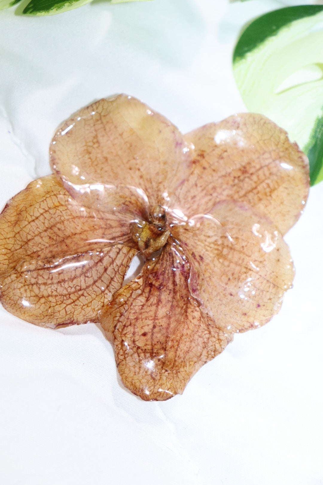 ℋ𝒶𝒾𝓇𝒸𝓁𝒾𝓅