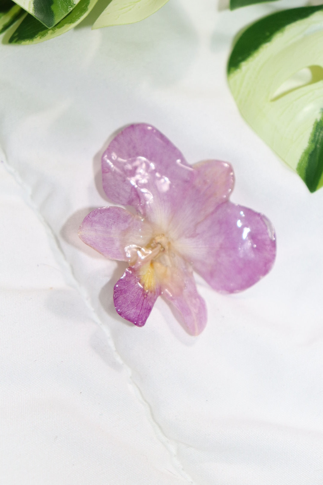 ℋ𝒶𝒾𝓇𝒸𝓁𝒾𝓅