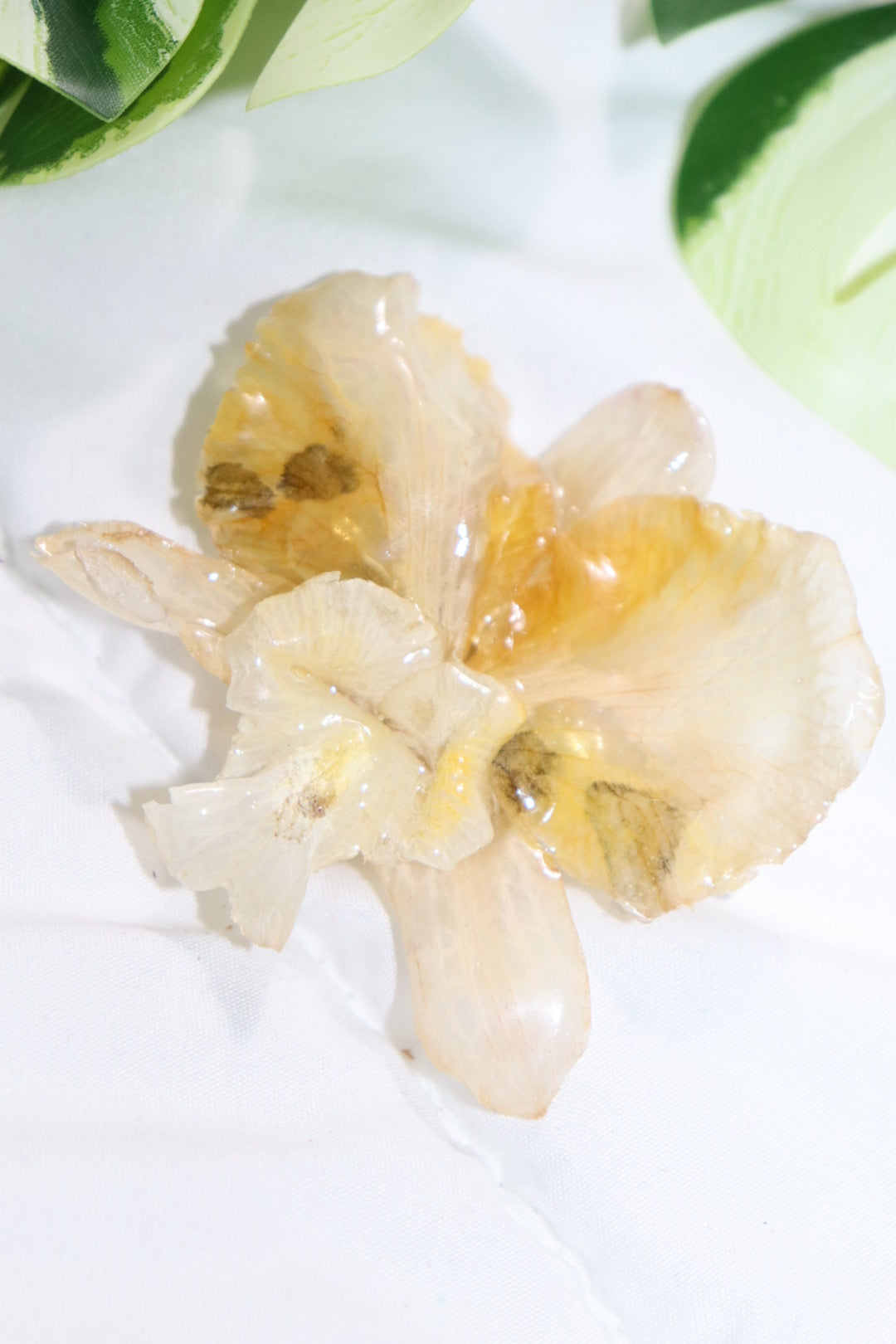 ℋ𝒶𝒾𝓇𝒸𝓁𝒾𝓅