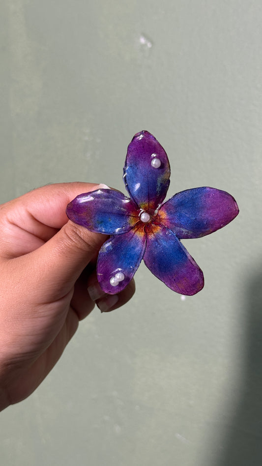 Plumeria clip