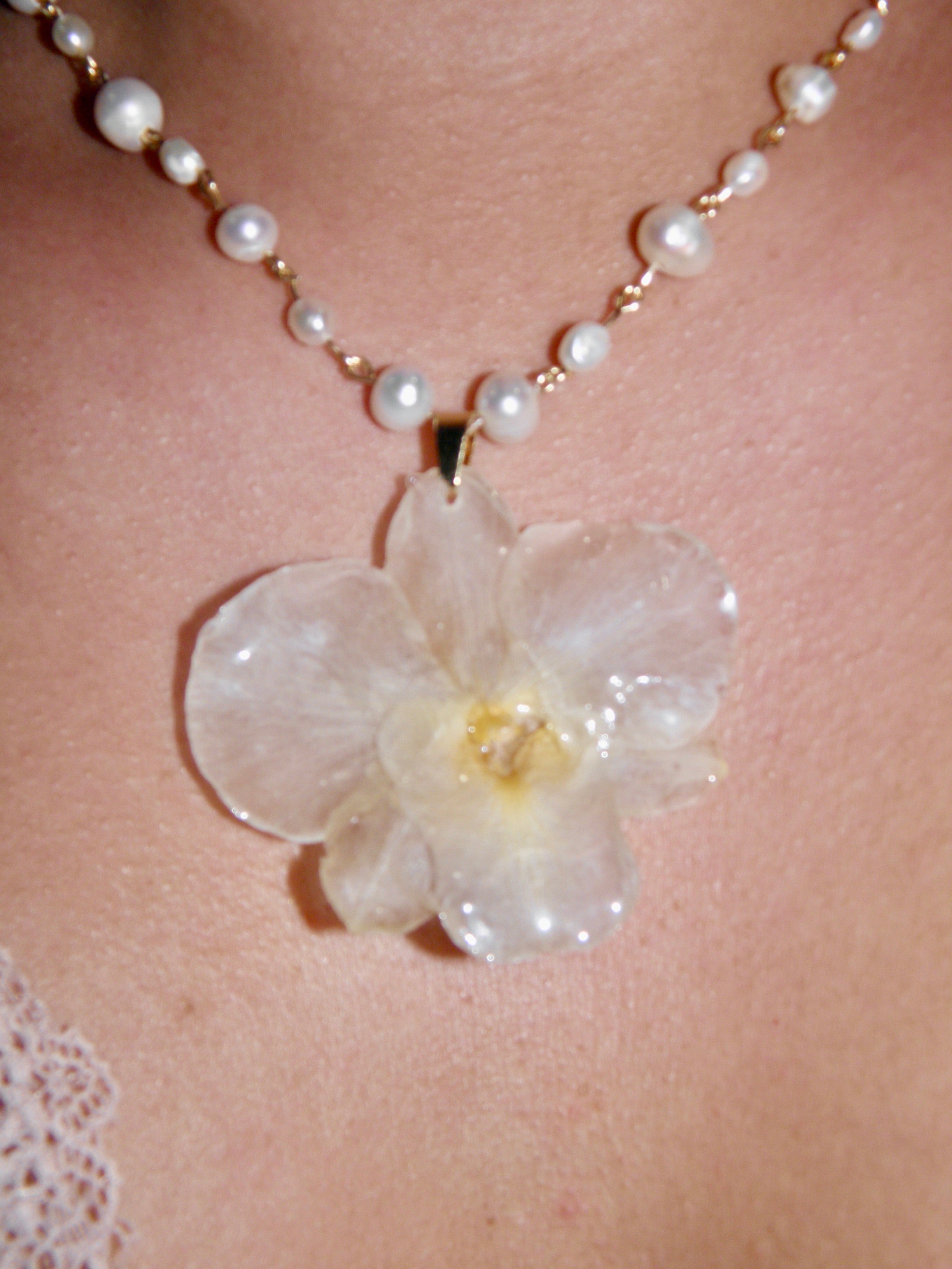 ℛℴ𝓈𝒶𝓇𝒾ℴ ❀