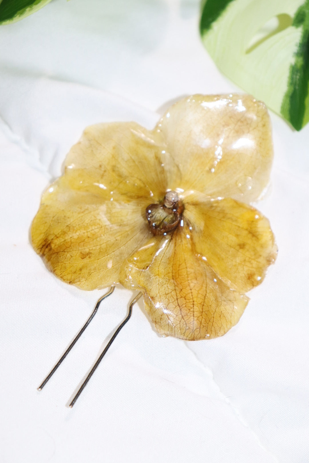 ℱ𝓇ℯ𝓃𝒸𝒽 𝒸𝓁𝒾𝓅