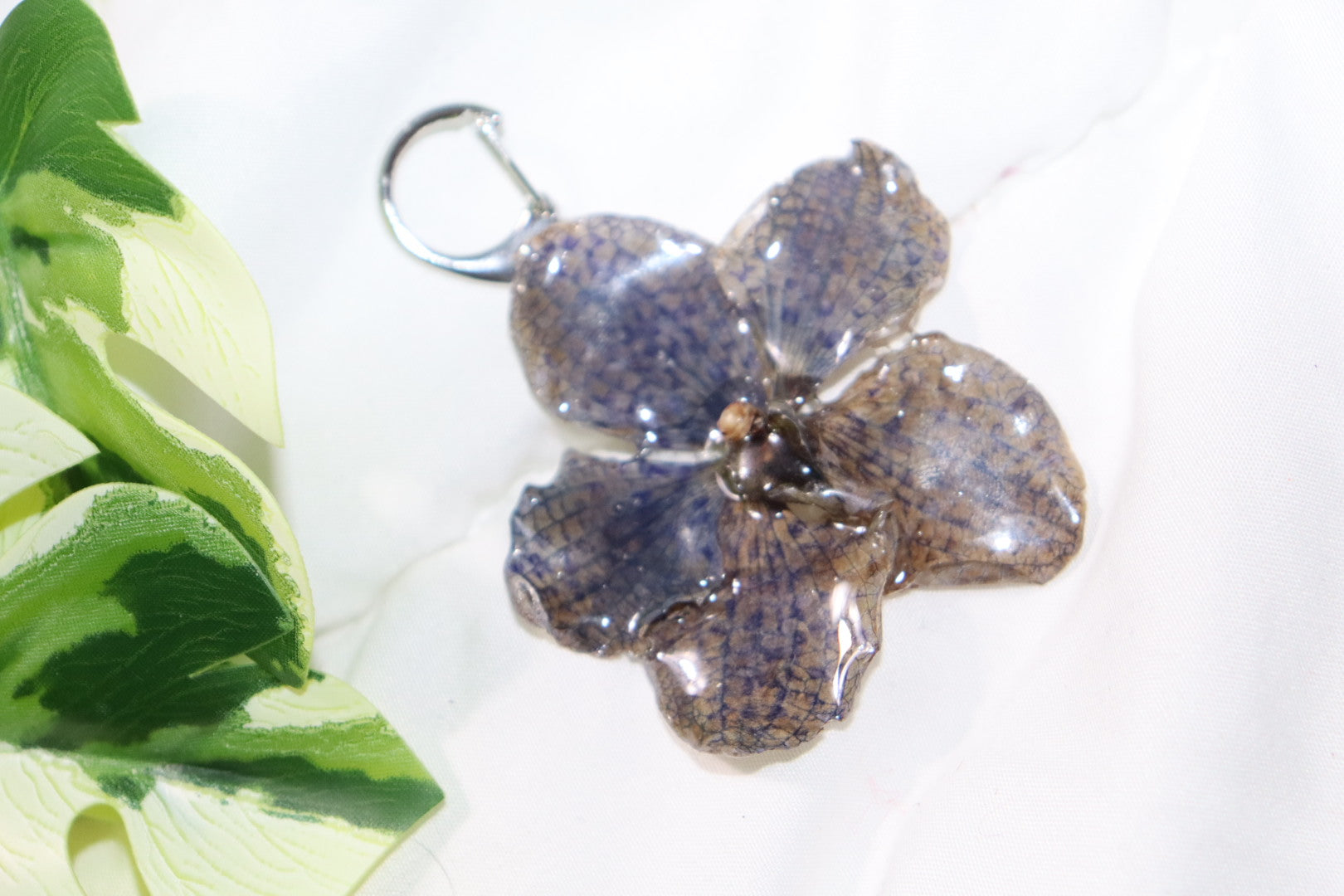 𝒦ℯ𝓎𝒸𝒽𝒶𝒾𝓃