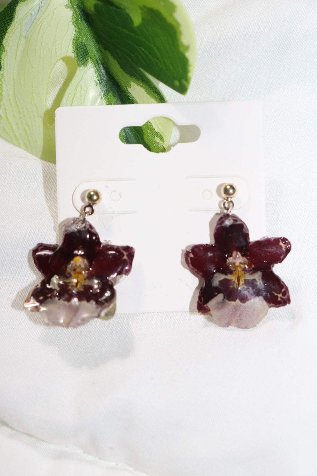 ℰ𝒶𝓇𝓇𝒾𝓃ℊ𝓈 𝒹ℴ𝒯