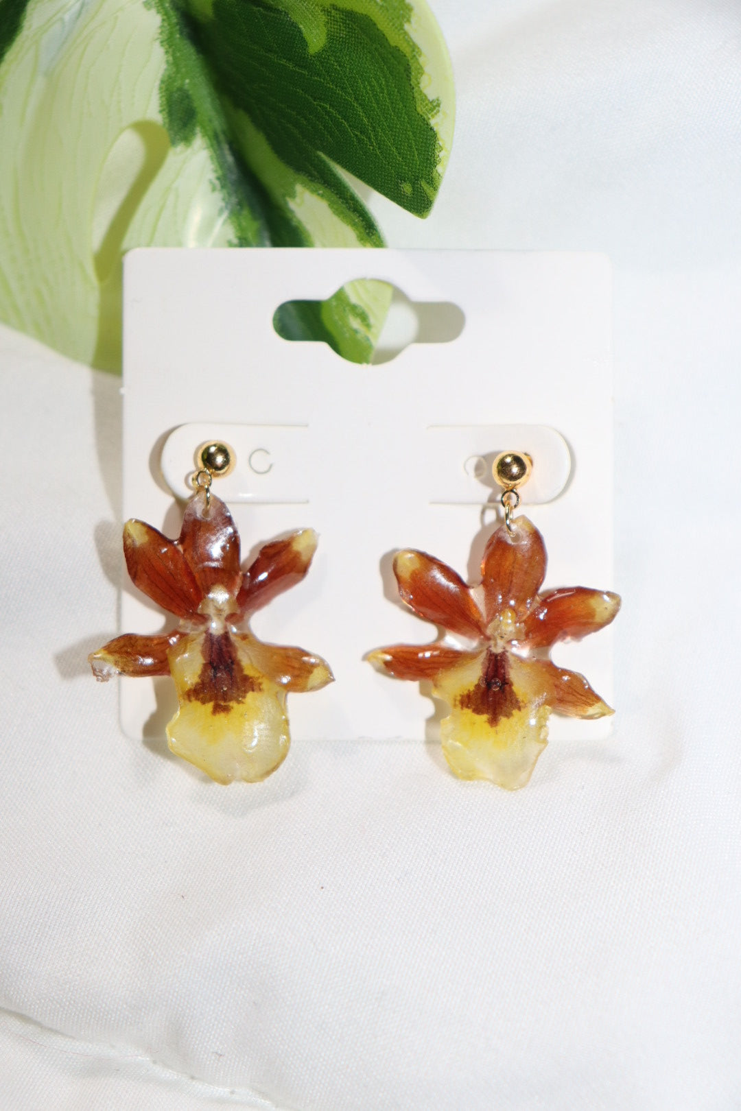 ℰ𝒶𝓇𝓇𝒾𝓃ℊ𝓈 𝒹ℴ𝓉𝒮