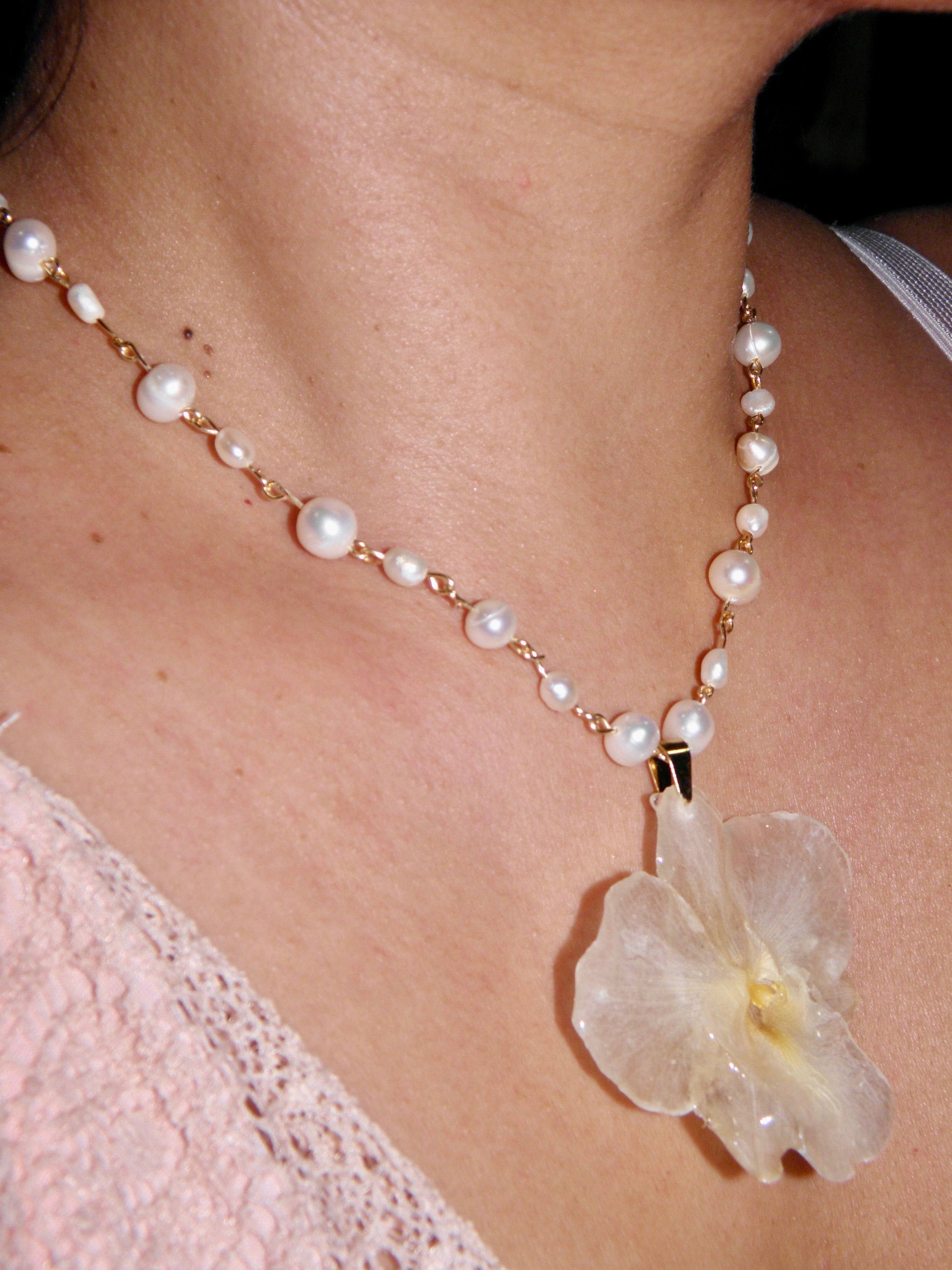 ℛℴ𝓈𝒶𝓇𝒾ℴ ❀