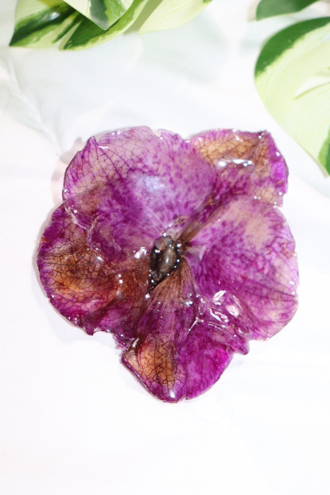 ℋ𝒶𝒾𝓇𝒸𝓁𝒾𝓅