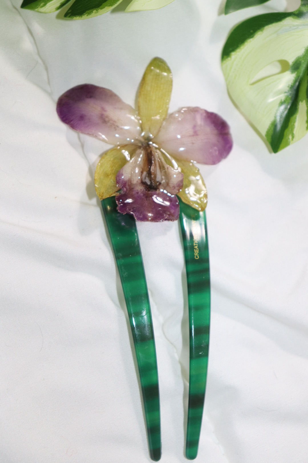 ℱ𝓇ℯ𝓃𝒸𝒽 𝒸𝓁𝒾𝓅 𝒷ℐℊ