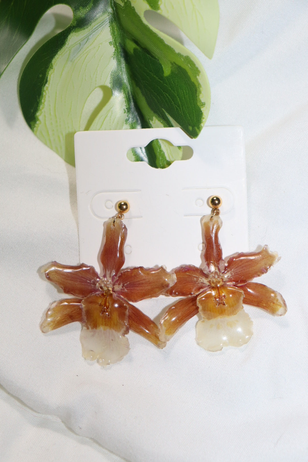 ℰ𝒶𝓇𝓇𝒾𝓃ℊ 𝒹ℴ𝓉