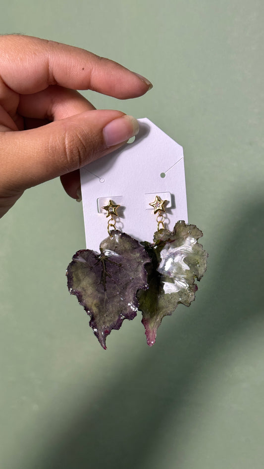 Earrings stars