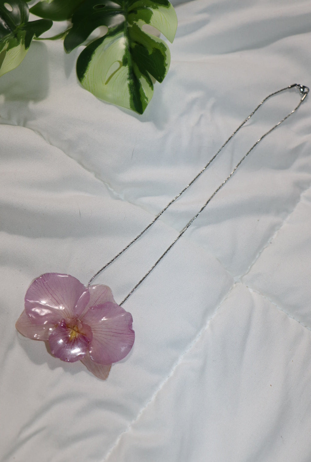 𝒫ℯ𝒹𝒶𝓃𝓉 ℴ𝓇𝒸𝒽𝒾𝒹