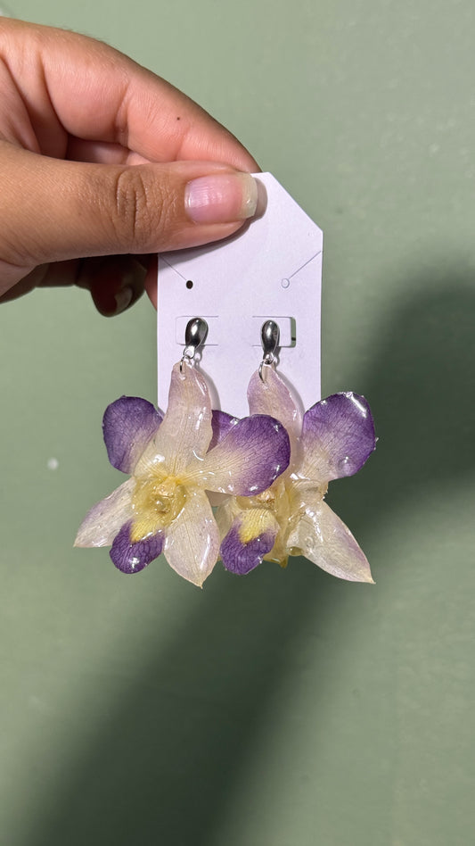 Earrings purple