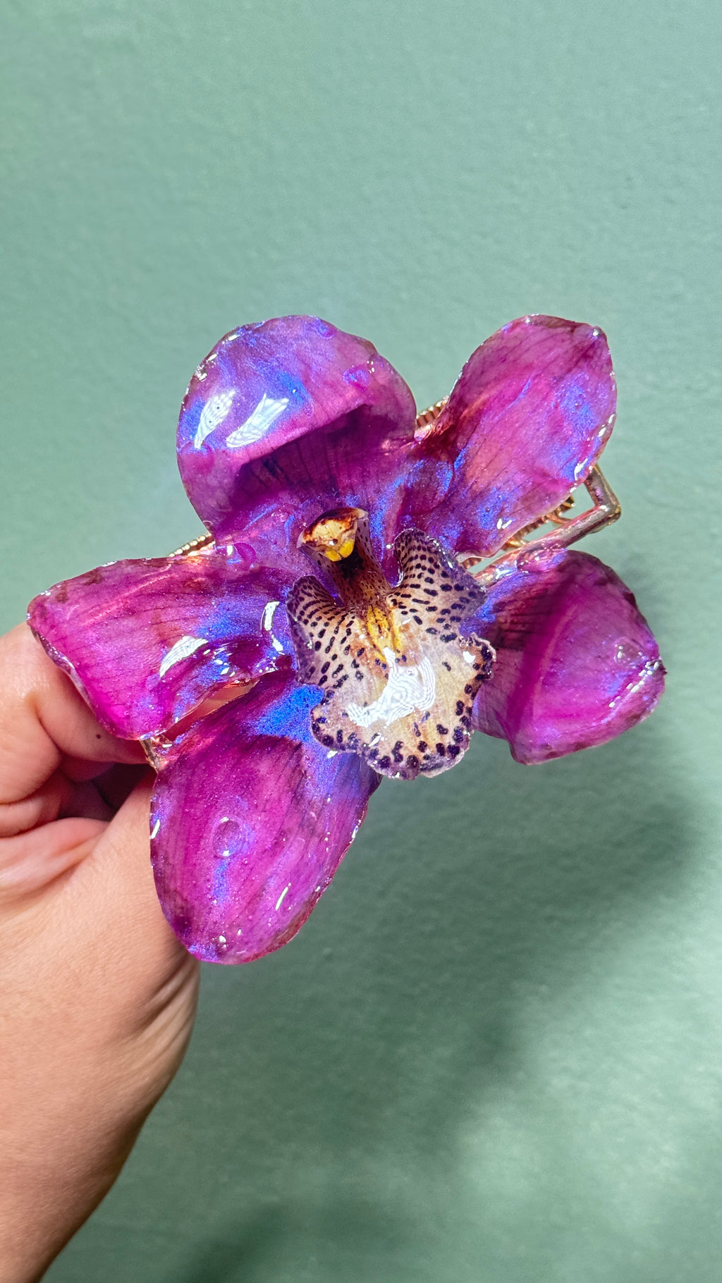 Pink cymbidium hair claw