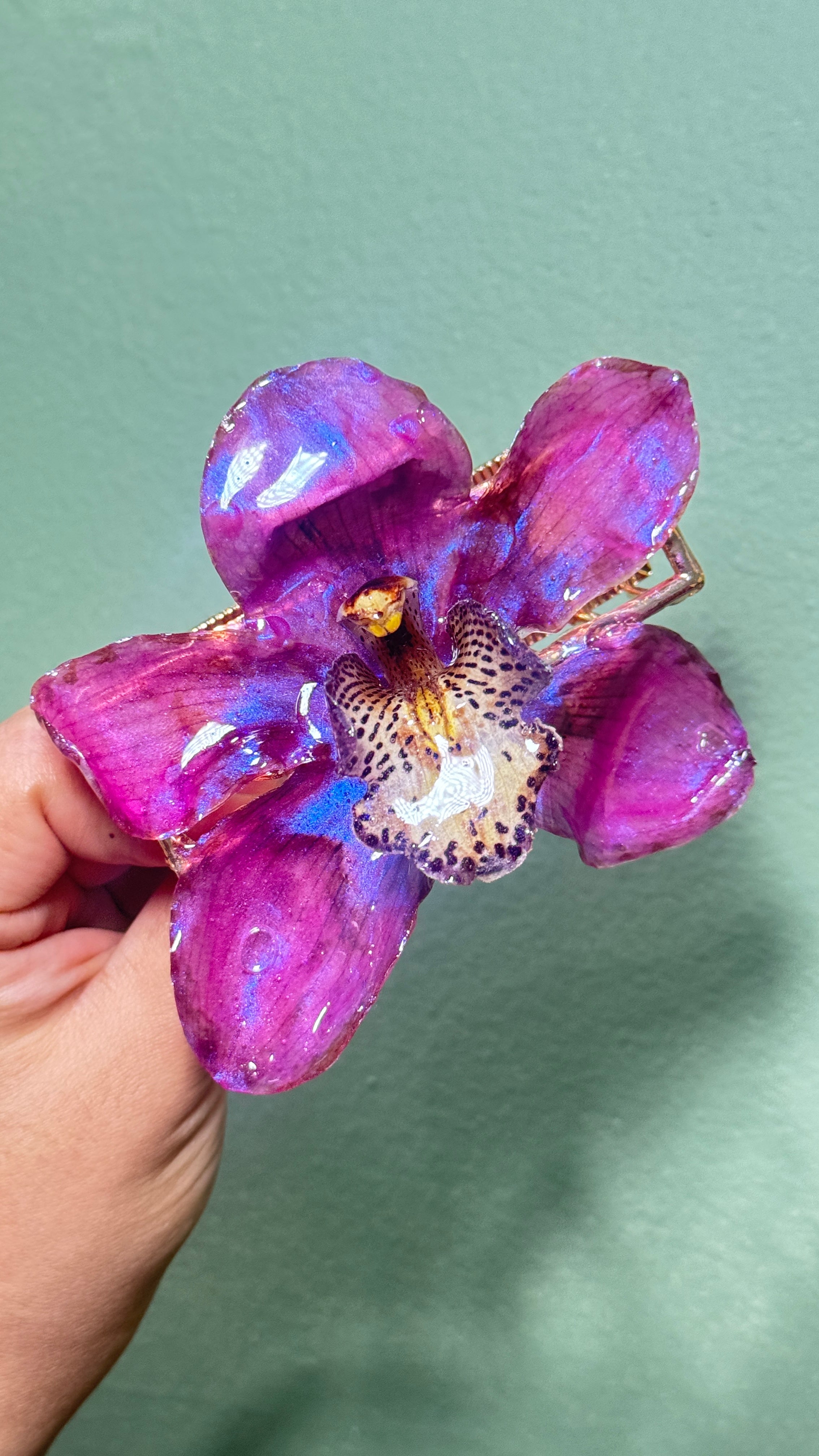 Pink cymbidium hair claw