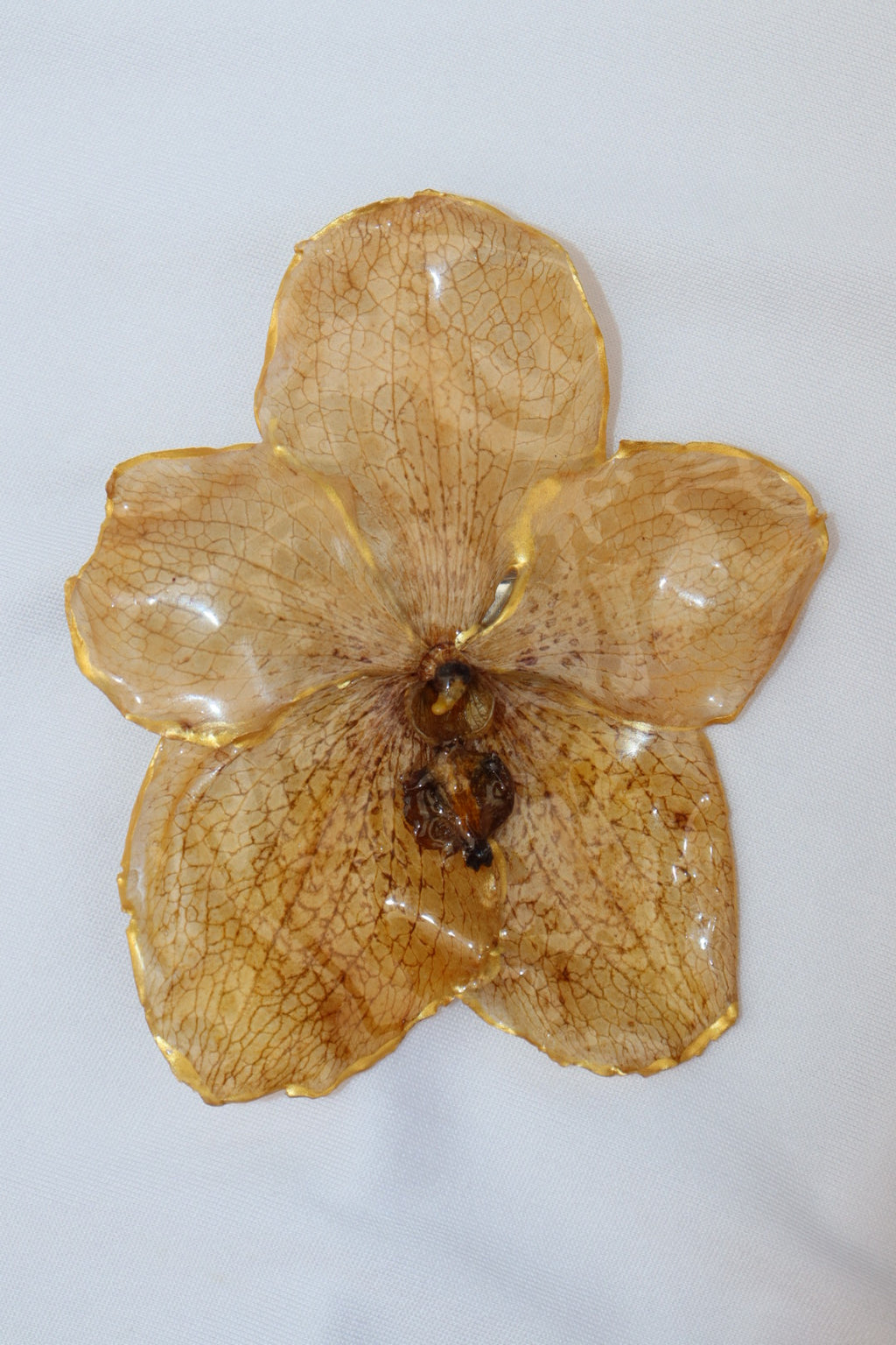 sol 𝜗𝜚⋆₊˚