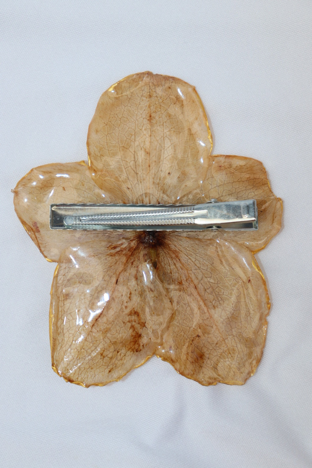 sol 𝜗𝜚⋆₊˚