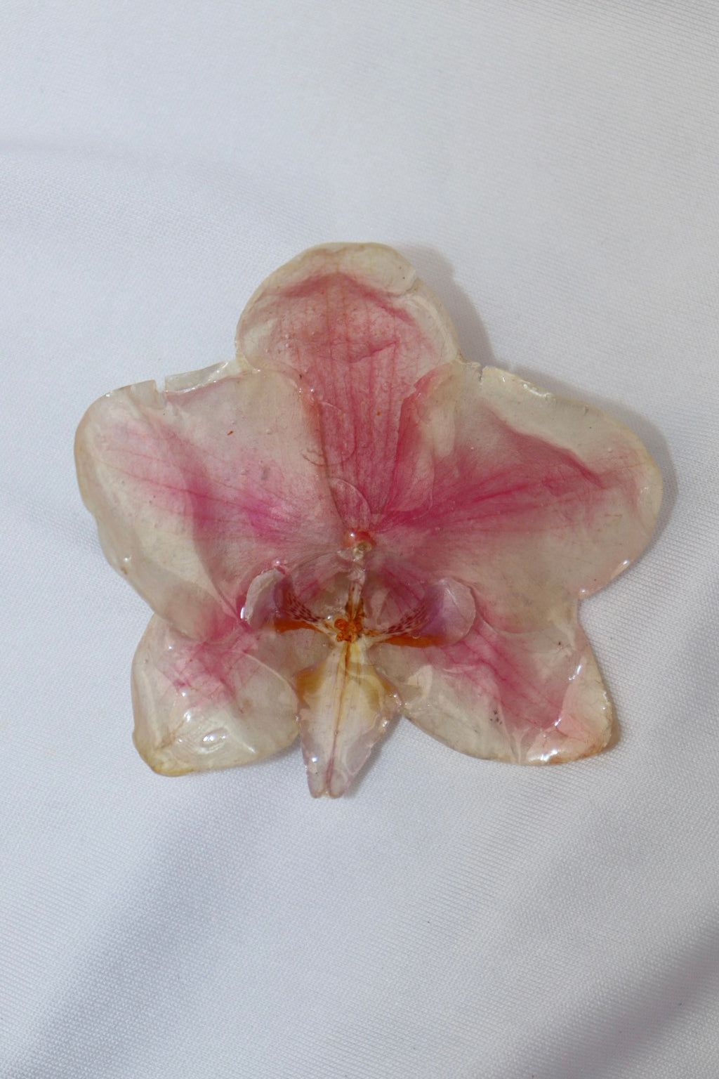 star  ࣪ ˖ 𖦹°⋆