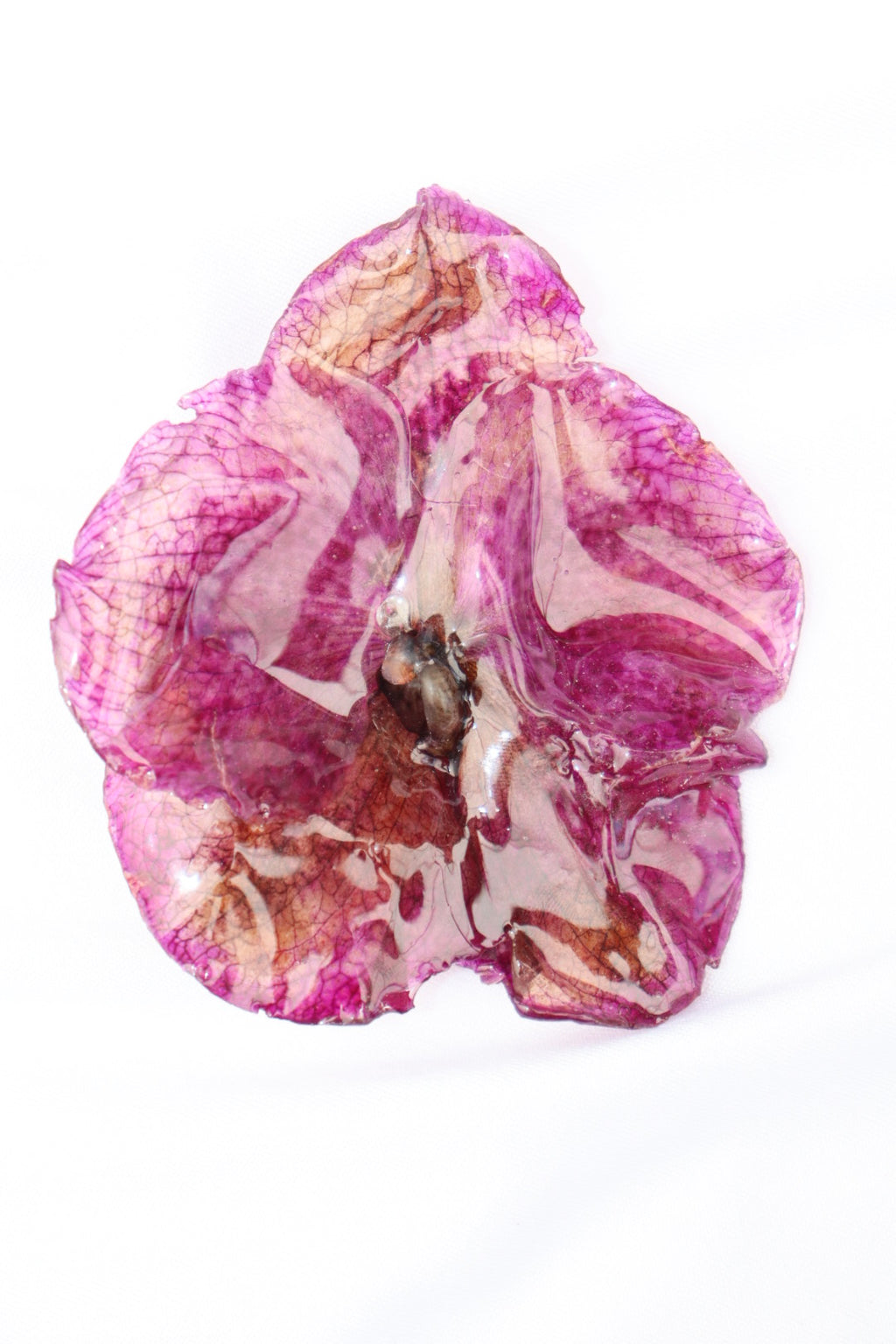 lola ᶻ 𝗓 𐰁 .ᐟ