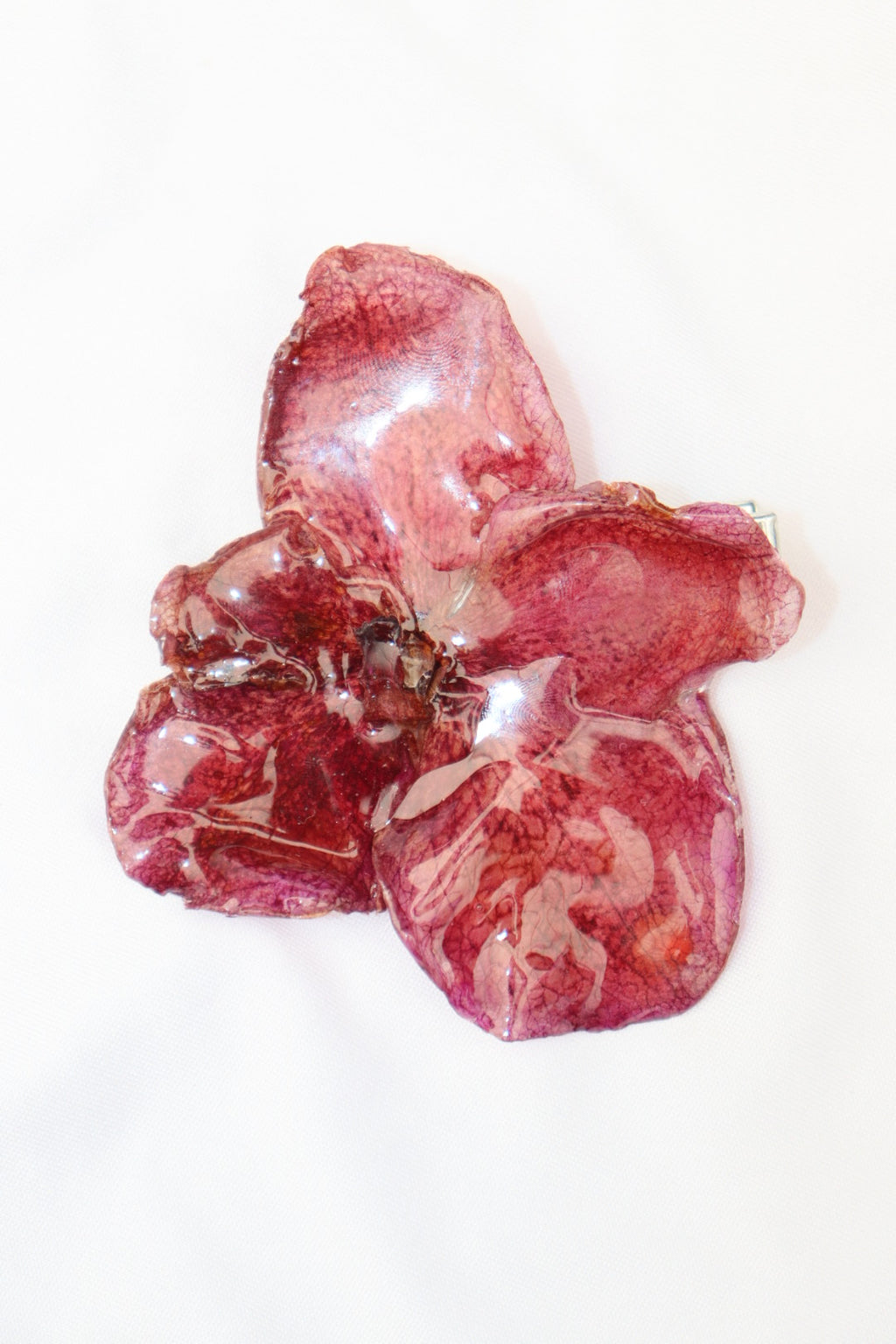 jainero ִ ࣪𖤐.ᐟ