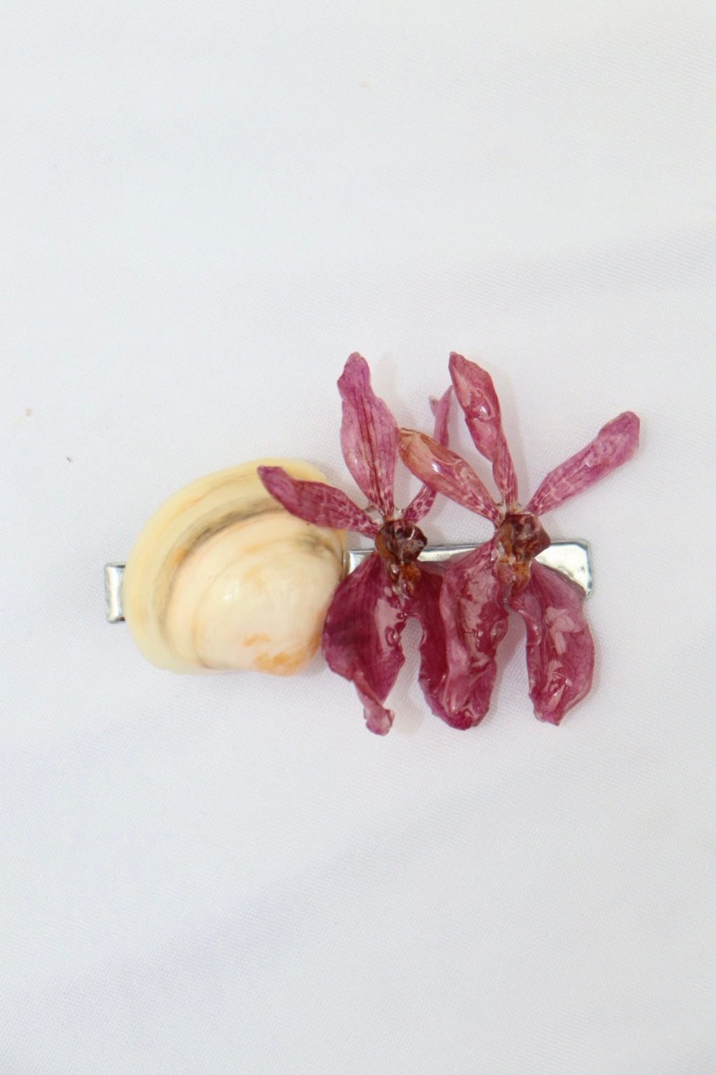 renanthera ִ ࣪𖤐.ᐟ