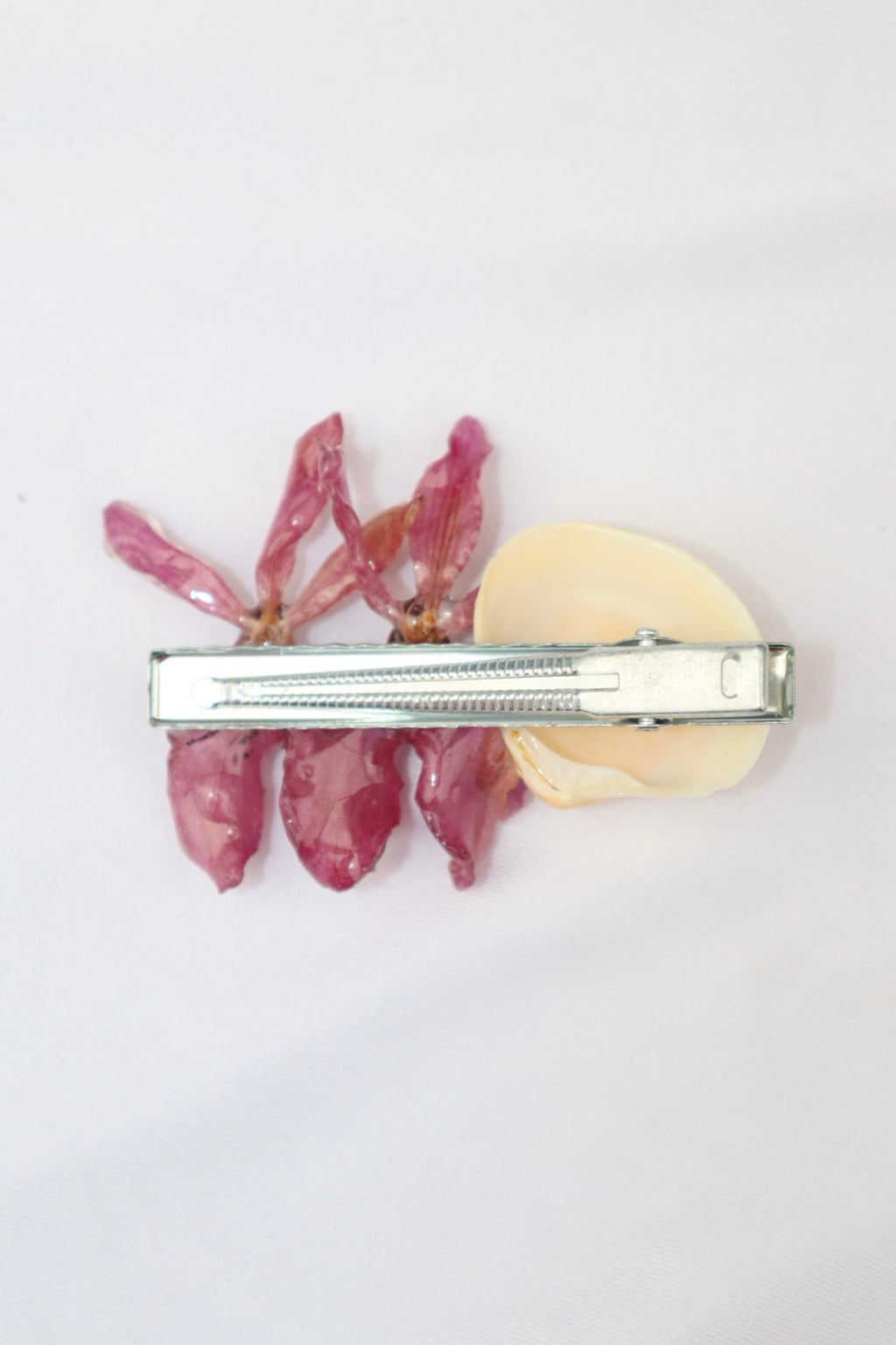 renanthera ִ ࣪𖤐.ᐟ