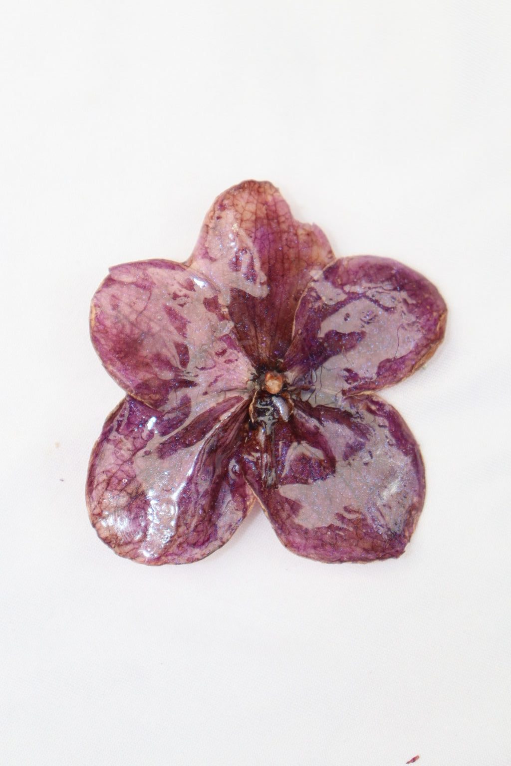 sparkle ִ ࣪𖤐.ᐟ