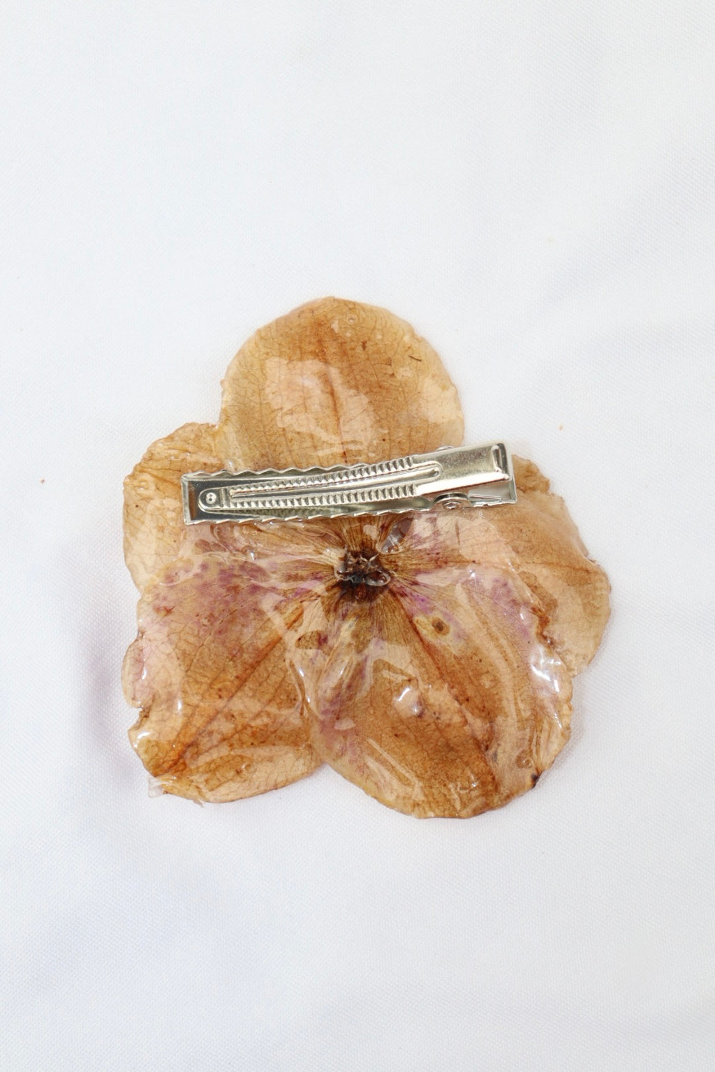 sparky ִ ࣪𖤐.ᐟ