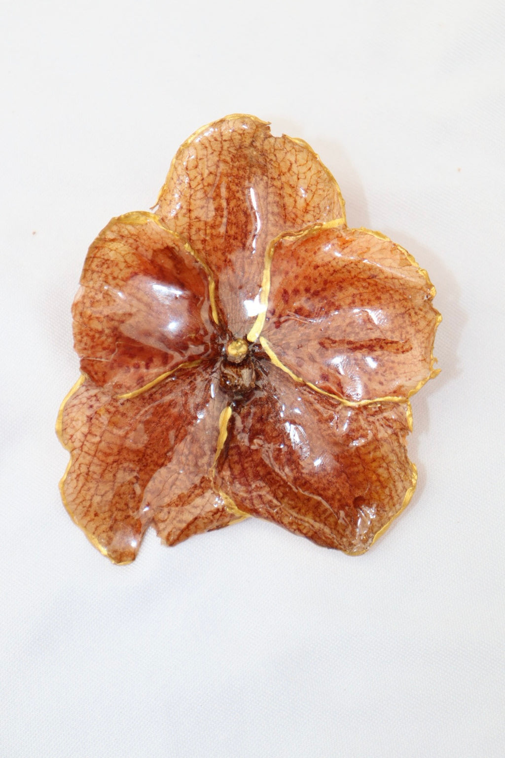 goldish ִ ࣪𖤐.ᐟ