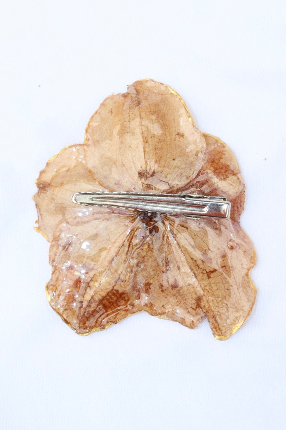 goldish ִ ࣪𖤐.ᐟ