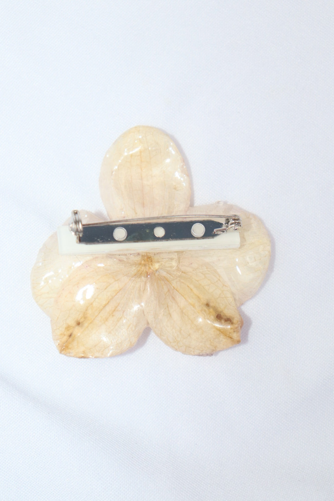 pearl ᥫ᭡.