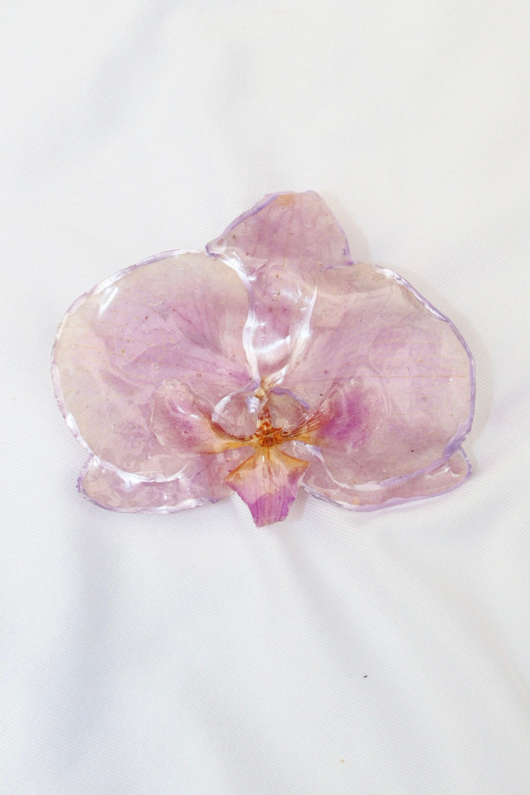purple ᥫ᭡.