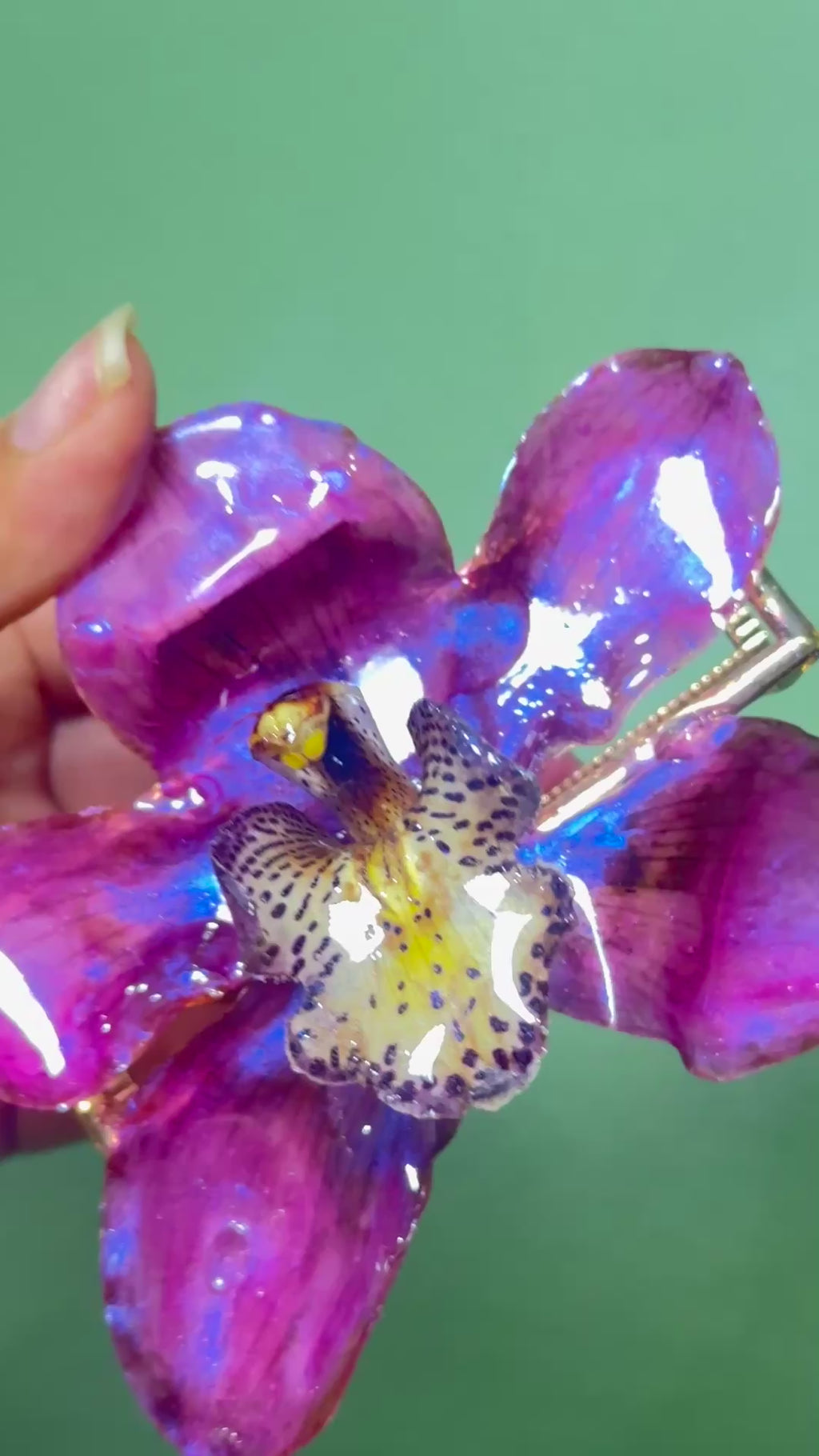 Pink cymbidium hair claw