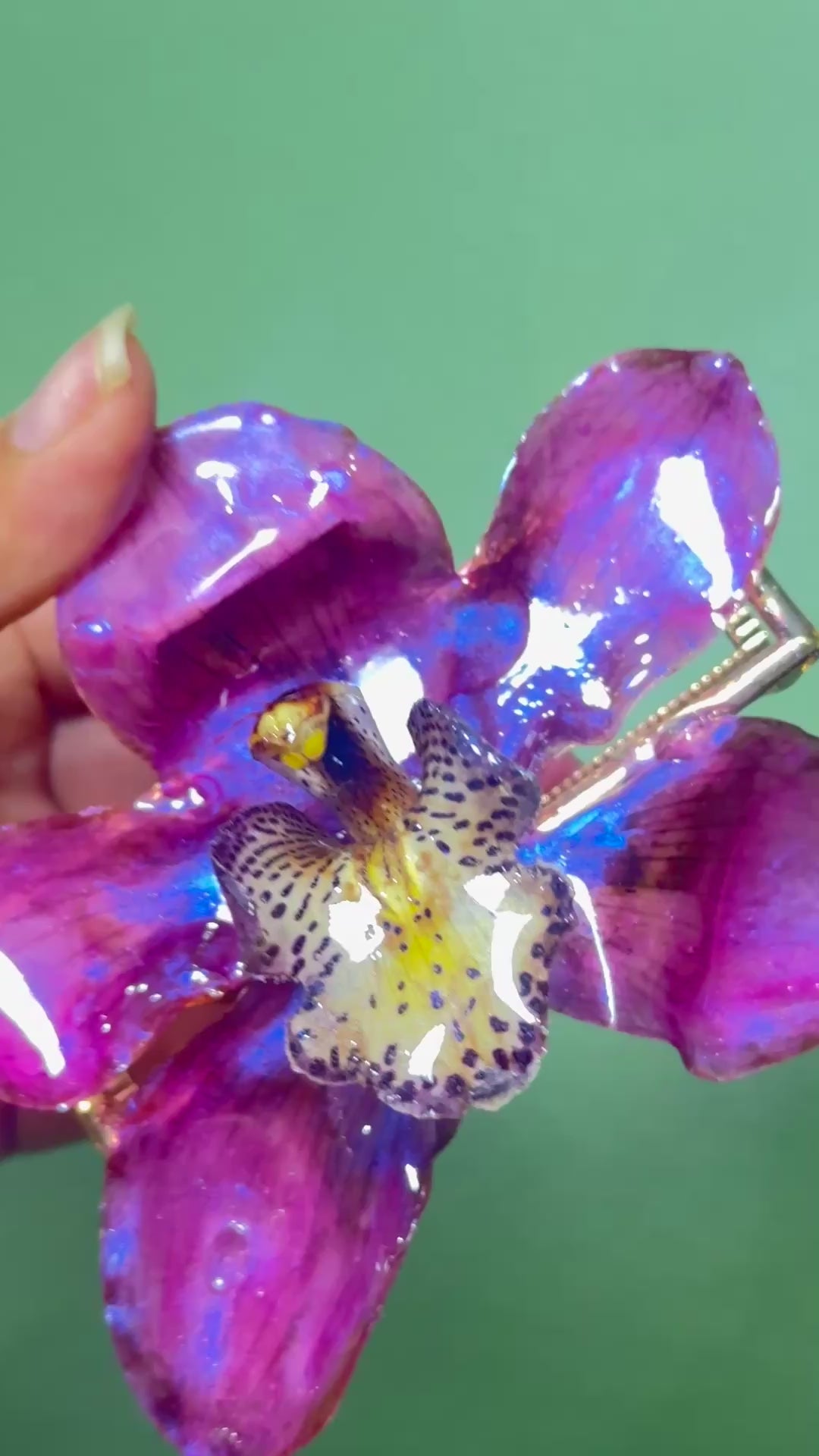Pink cymbidium hair claw